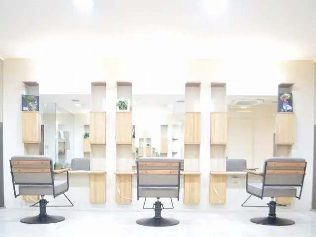 animus hair salon